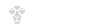 Zahraniční online casino 2026 – 10 nejlepších platforem s live dealery pro české hráče